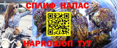 сатива Бузулук