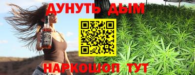 сатива Бузулук