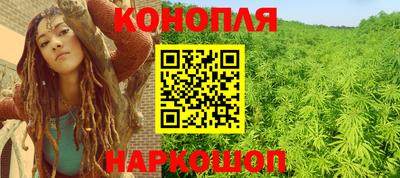 сатива Бузулук