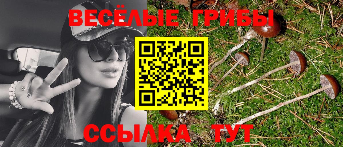 Кемерово  Галлюциногенные грибы Psilocybine cubensis  Вход с VPN  Псилоцибиновые грибы Cubensis 