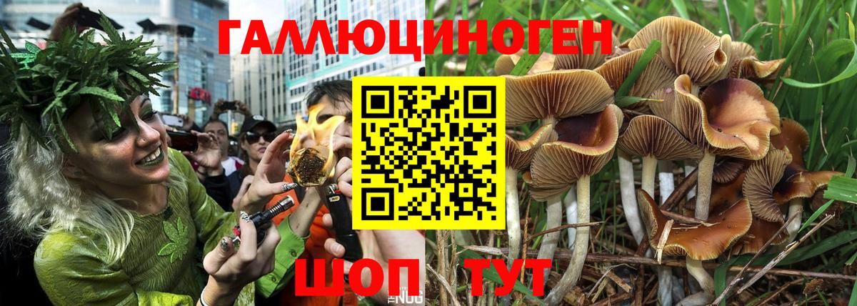 Псилоцибиновые грибы ЛСД Кемерово